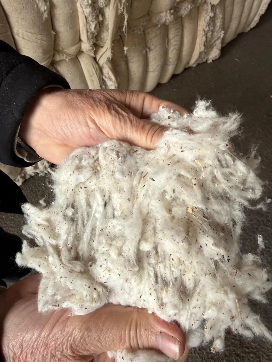 Cotton waste checked by hand, trash specks visible